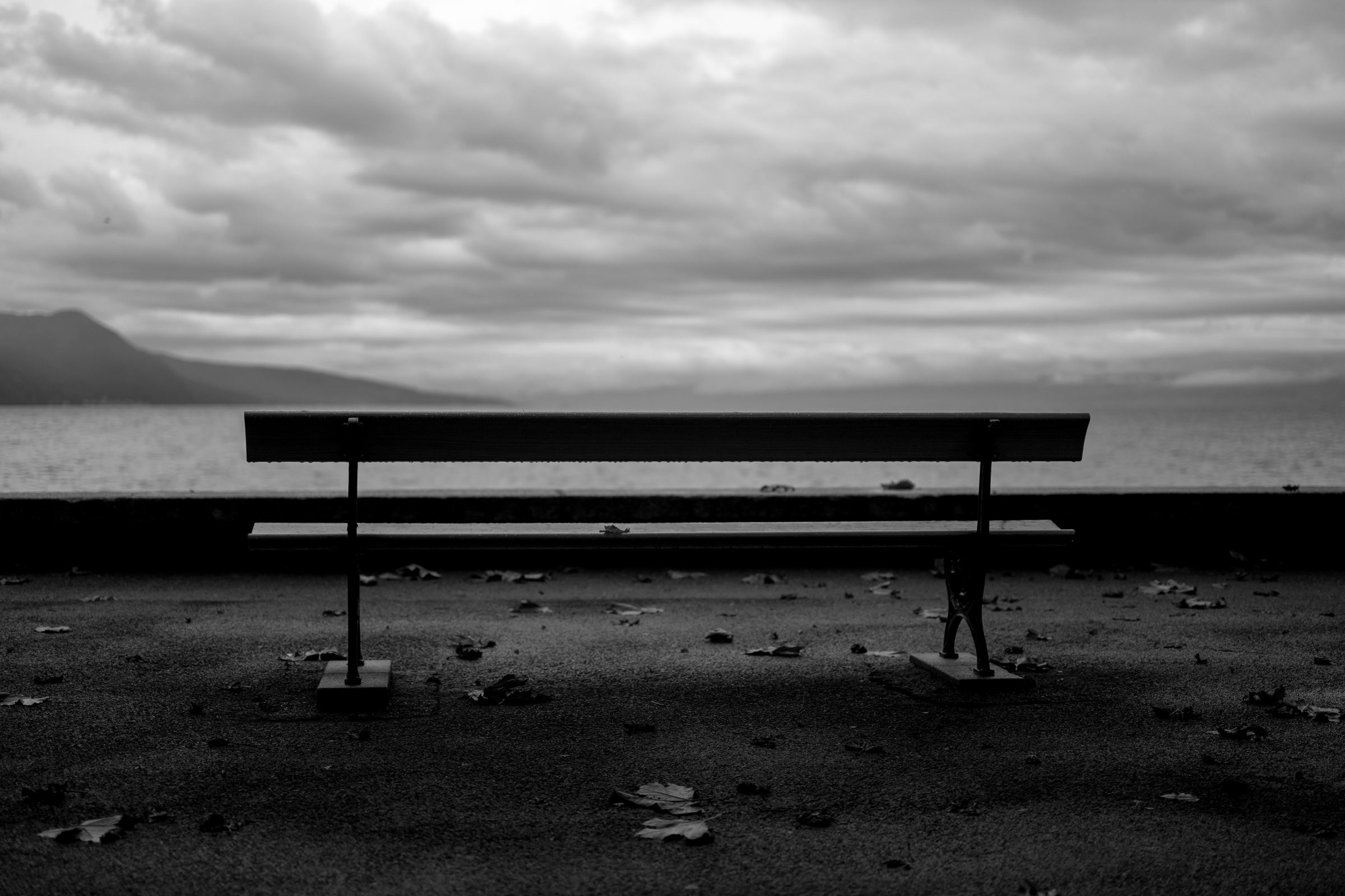 Black-and-white photograph: An empty bench facing a lake under heavy clouds, with fallen leaves on the ground