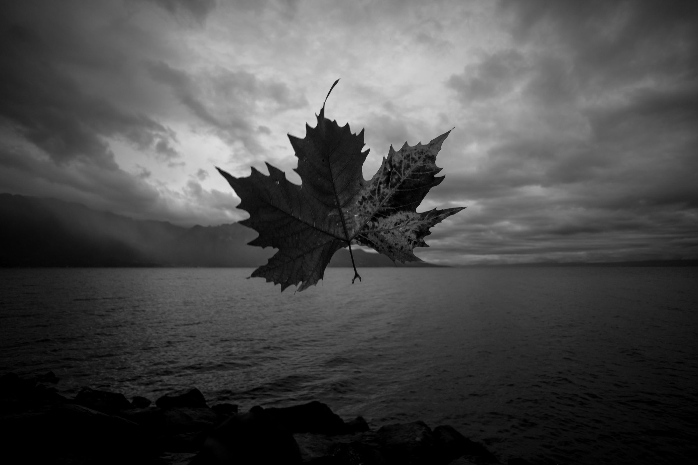Black-and-white photograph: A single leaf held up in front of a stormy lake and mountains