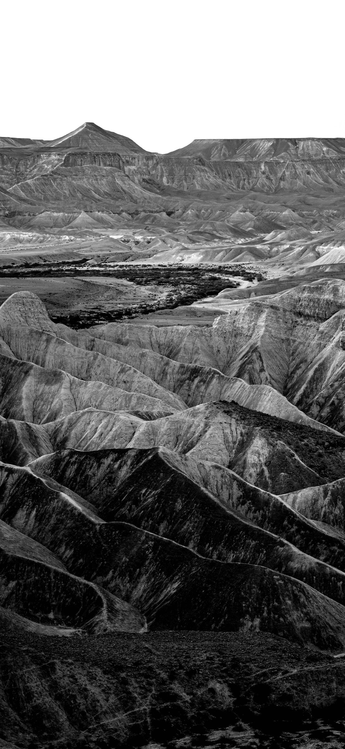 Black-and-white photograph: Ridges of eroded desert hills in the foreground, a dark dry riverbed below, and flat-topped mountains in the distance