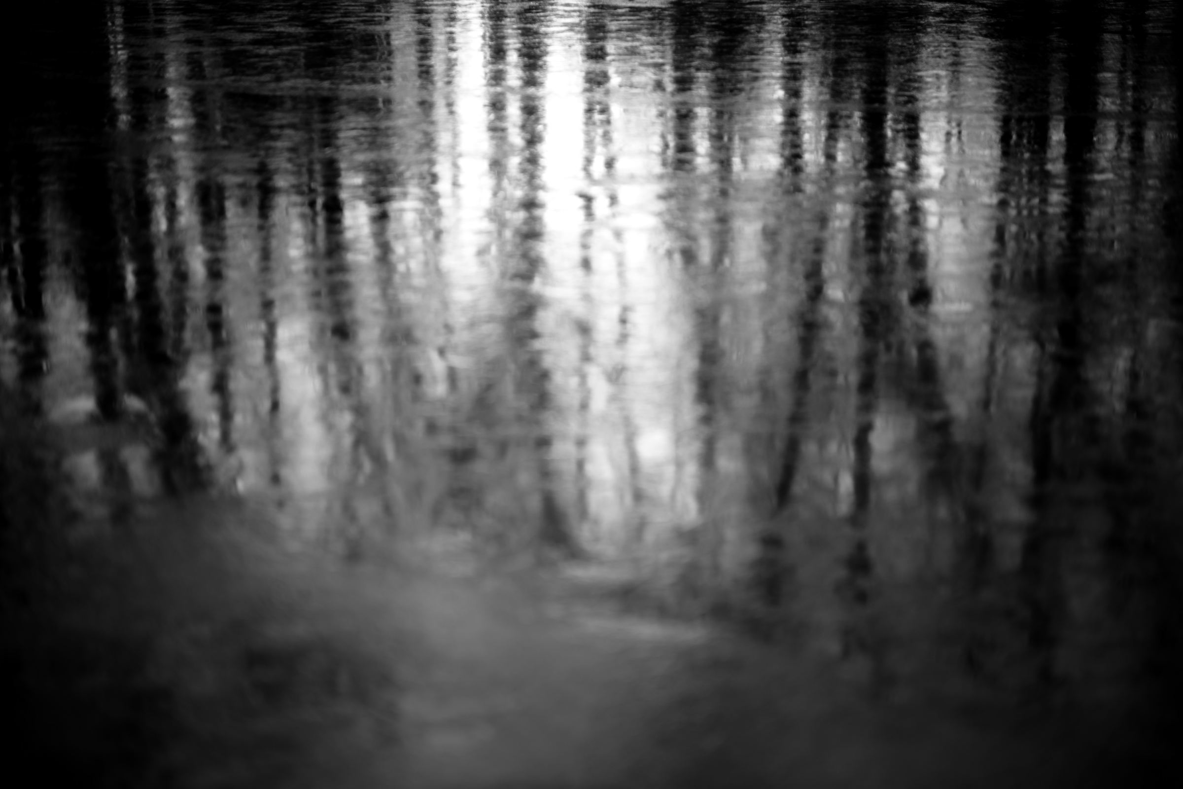 Black-and-white photograph: Soft reflections of tree trunks in still water, with light at the center